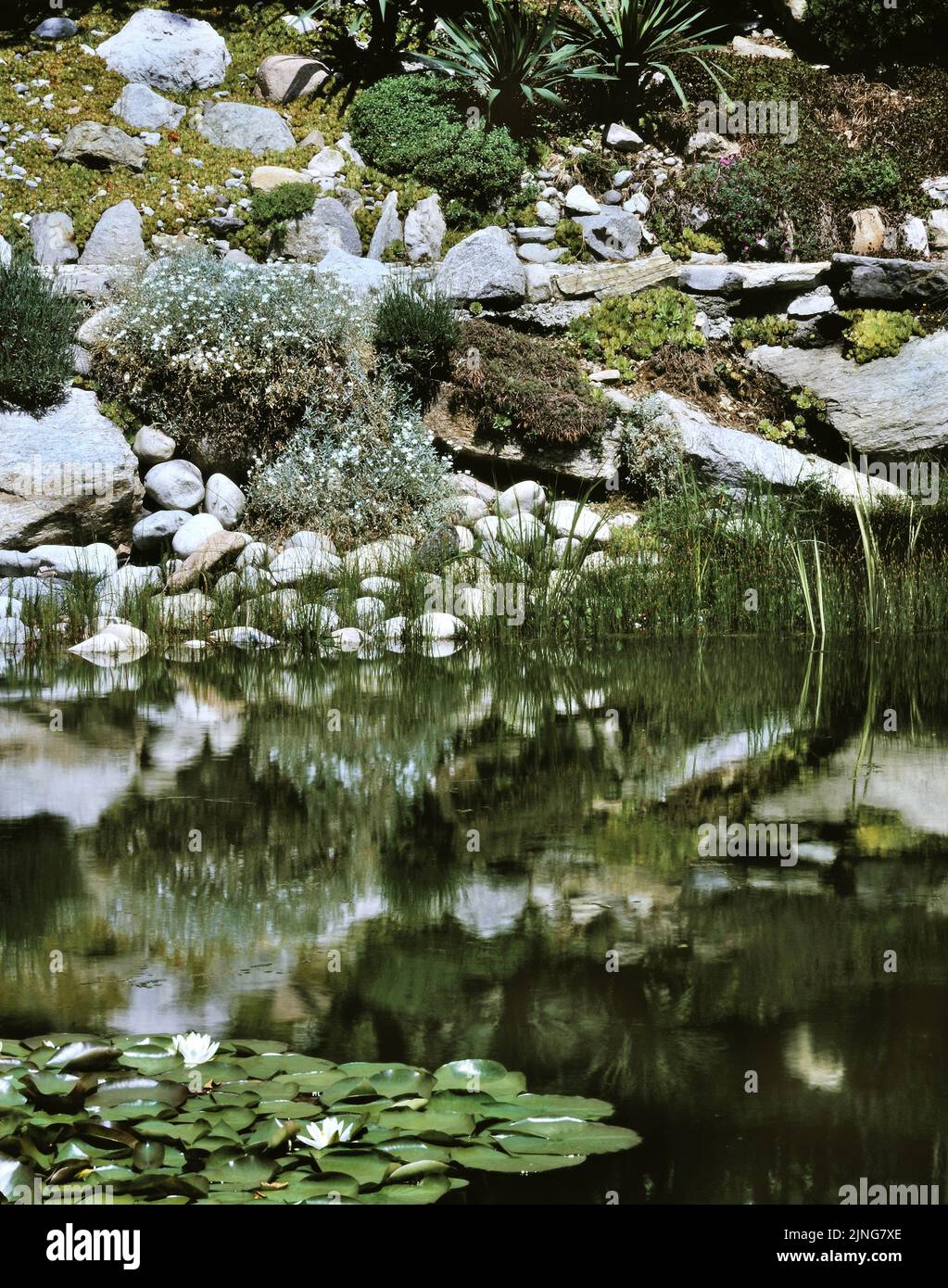 Giardino con lago artificiale. Foto Stock