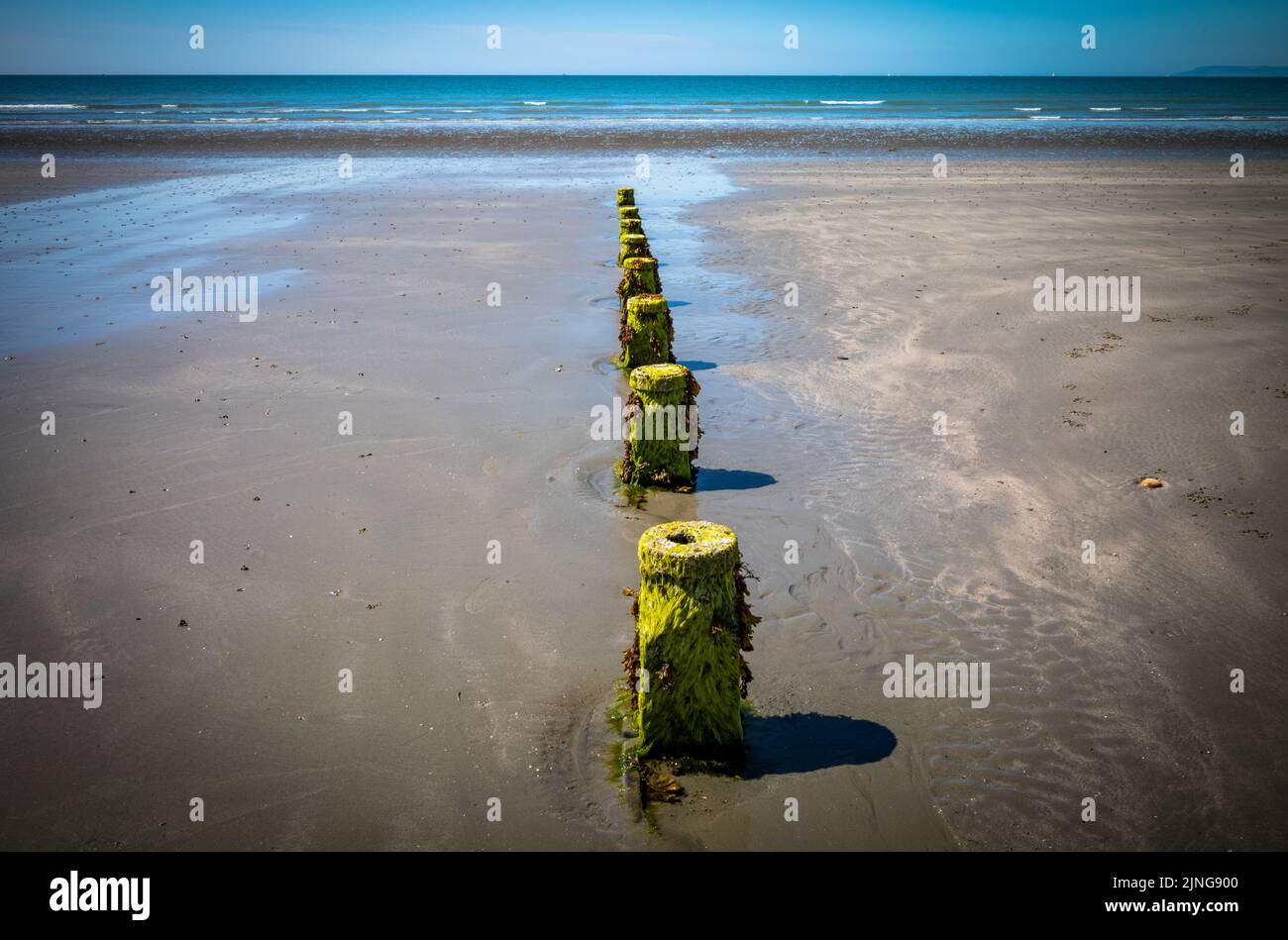 Un vecchio groyne di legno sepolto durante la bassa marea sulla spiaggia di East Wittering, West Sussex, UK. Foto Stock