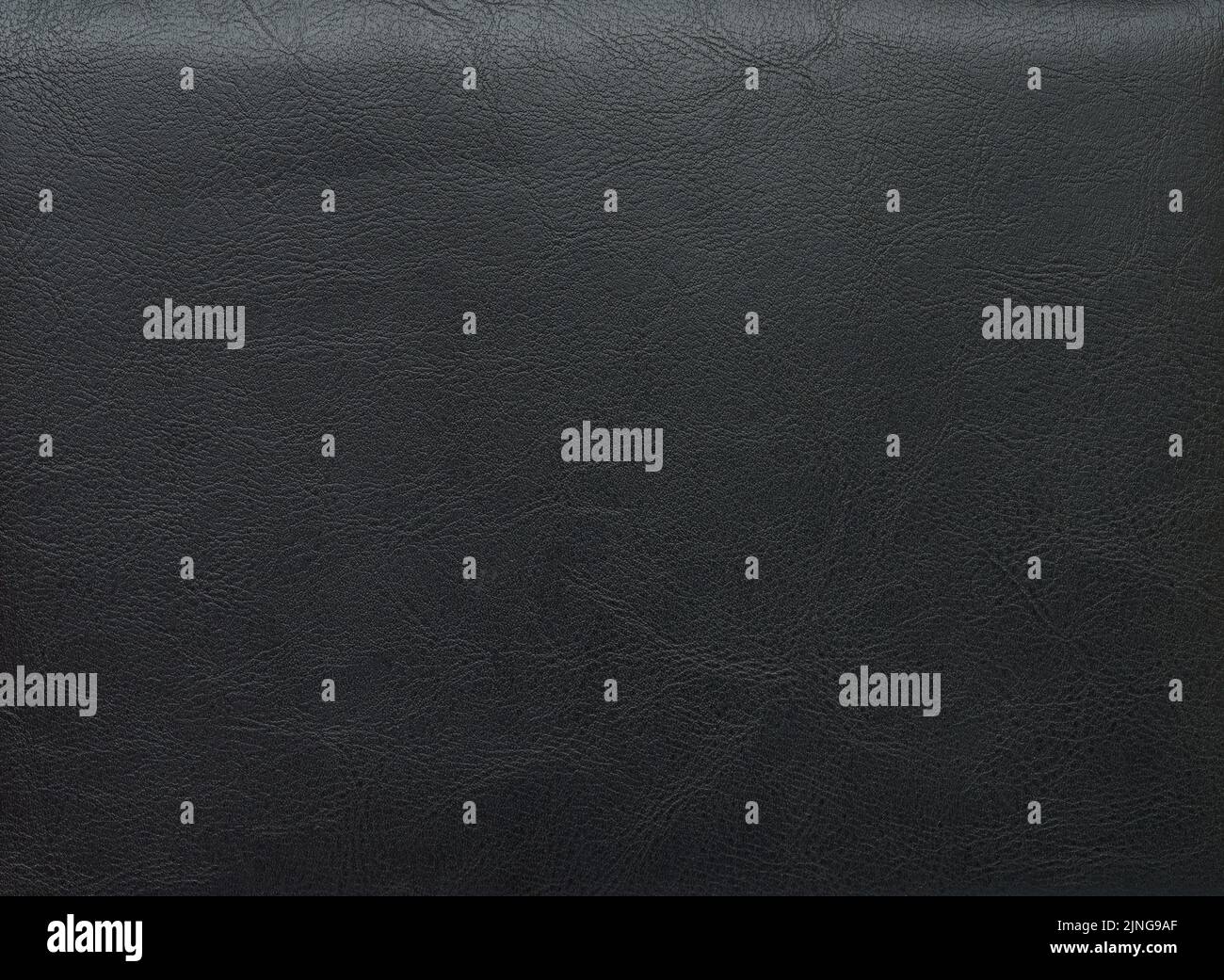 Vista ravvicinata macro della superficie della pelle nera scura Foto Stock