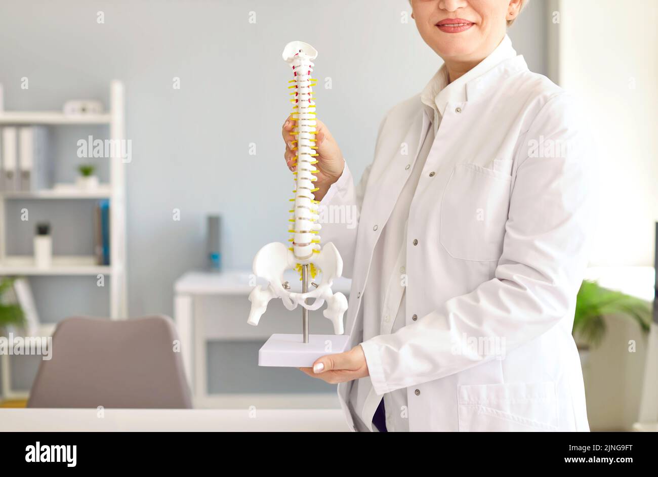 Ripresa ritagliata del medico presso la clinica ortopedica che tiene modello anatomico della colonna vertebrale umana Foto Stock