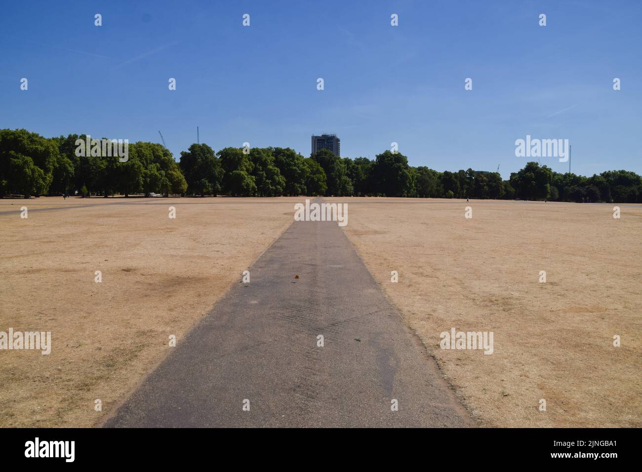 Londra, Regno Unito. 10th agosto 2022. Un paesaggio arido e arido ad Hyde Park in una giornata spaventosa, mentre nel Regno Unito continuano le ondate di caldo e la siccità provocate dal cambiamento climatico. Foto Stock