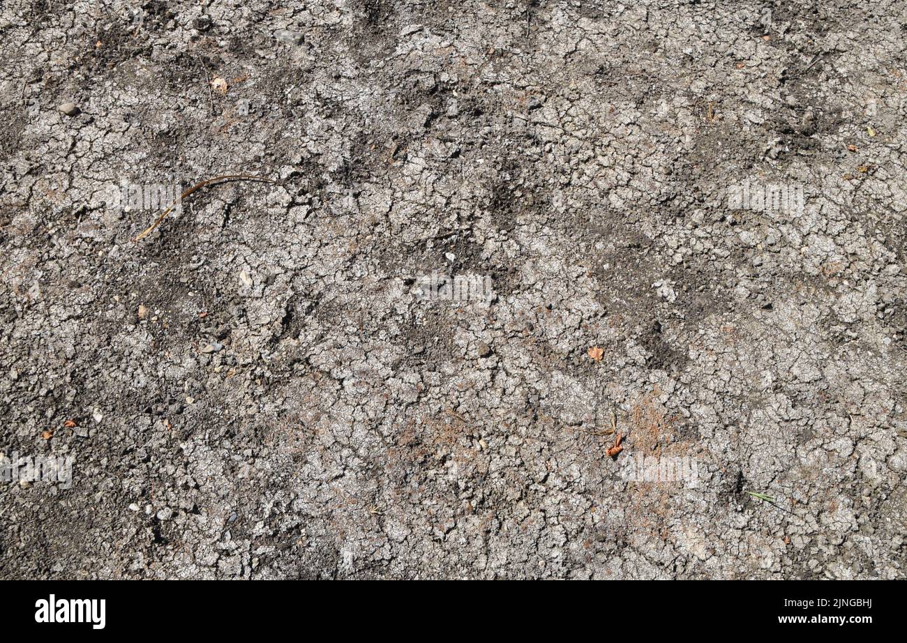 Londra, Regno Unito. 11th agosto 2022. Un bacino completamente asciutto, dato che nel Regno Unito continuano le ondate di calore e la siccità causate dal cambiamento climatico. Foto Stock