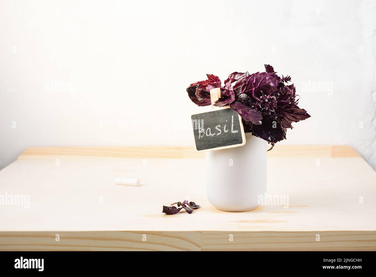 Mazzo di basilico viola su sfondo chiaro. Foto Stock