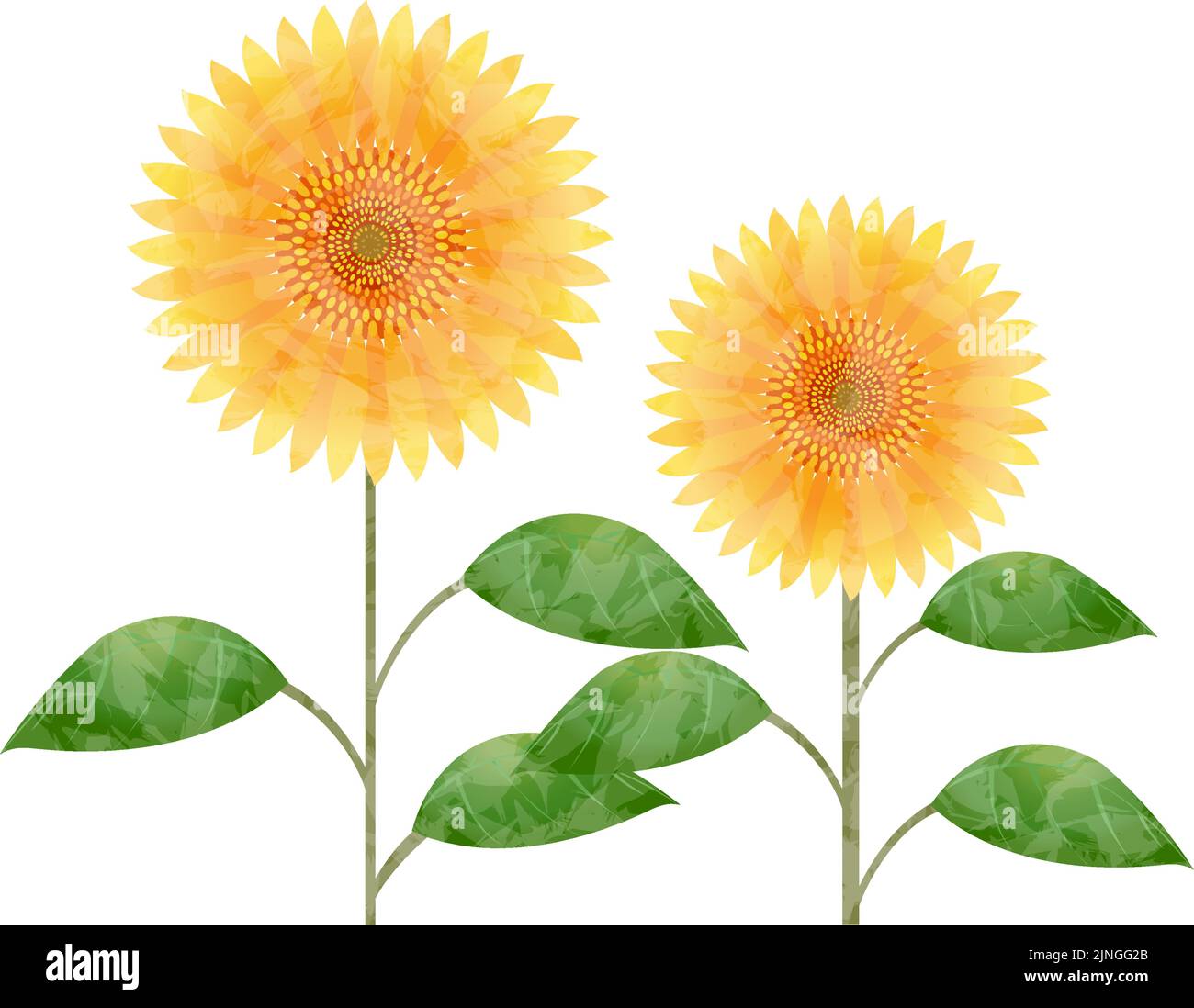 In stile acquerello, due girasoli, senza sfondo Illustrazione Vettoriale