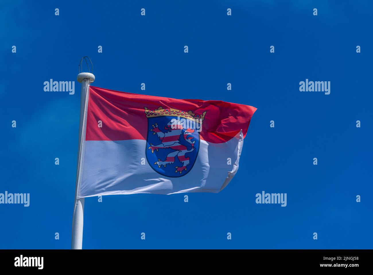 Bandiera ed emblema dello Schleswig-Holstein, Stato federale di Germania, Europa centrale Foto Stock