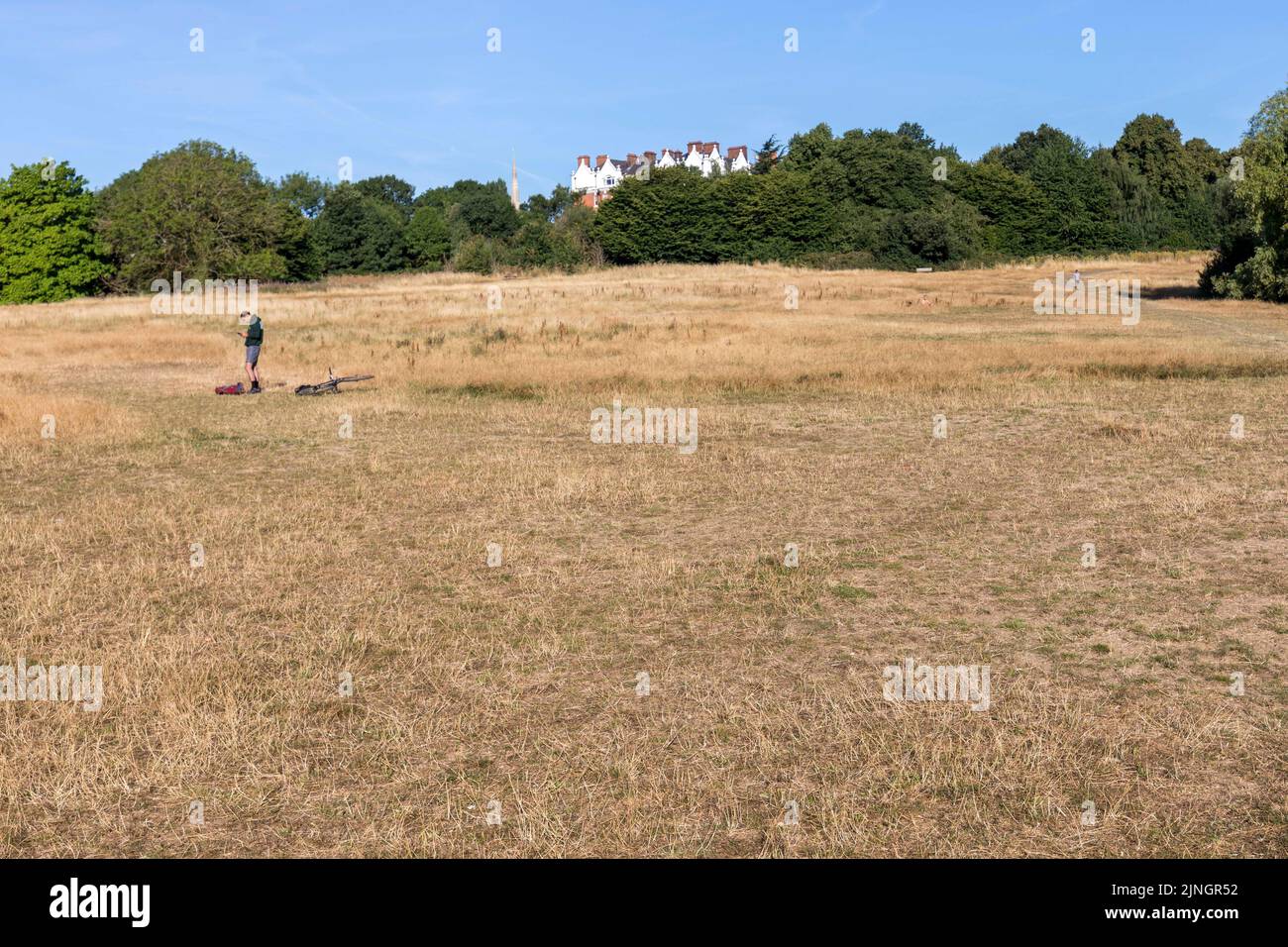 Si vede che l'erba si è asciugata ad Hampstead Heath questa mattina, mentre Londra sperimenta temperature elevate e clima secco nella prossima settimana. Immagine sh Foto Stock