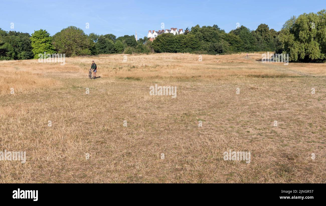 Si vede che l'erba si è asciugata ad Hampstead Heath questa mattina, mentre Londra sperimenta temperature elevate e clima secco nella prossima settimana. Immagine sh Foto Stock