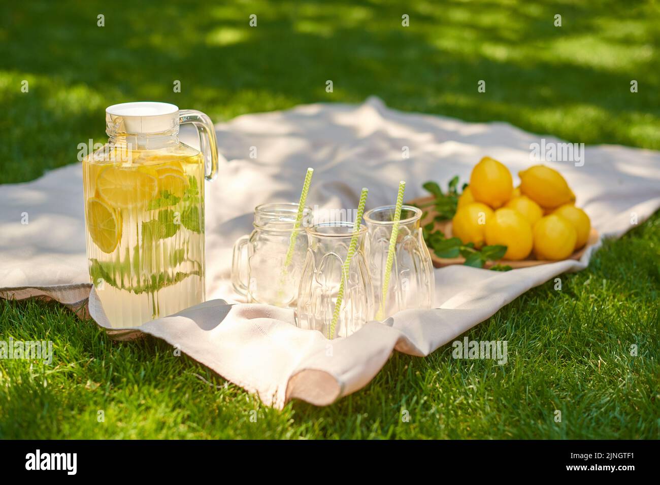 picnic estivo con limonata con brocca di vetro di bevanda fresca su biancheria da letto chiara su erba verde Foto Stock