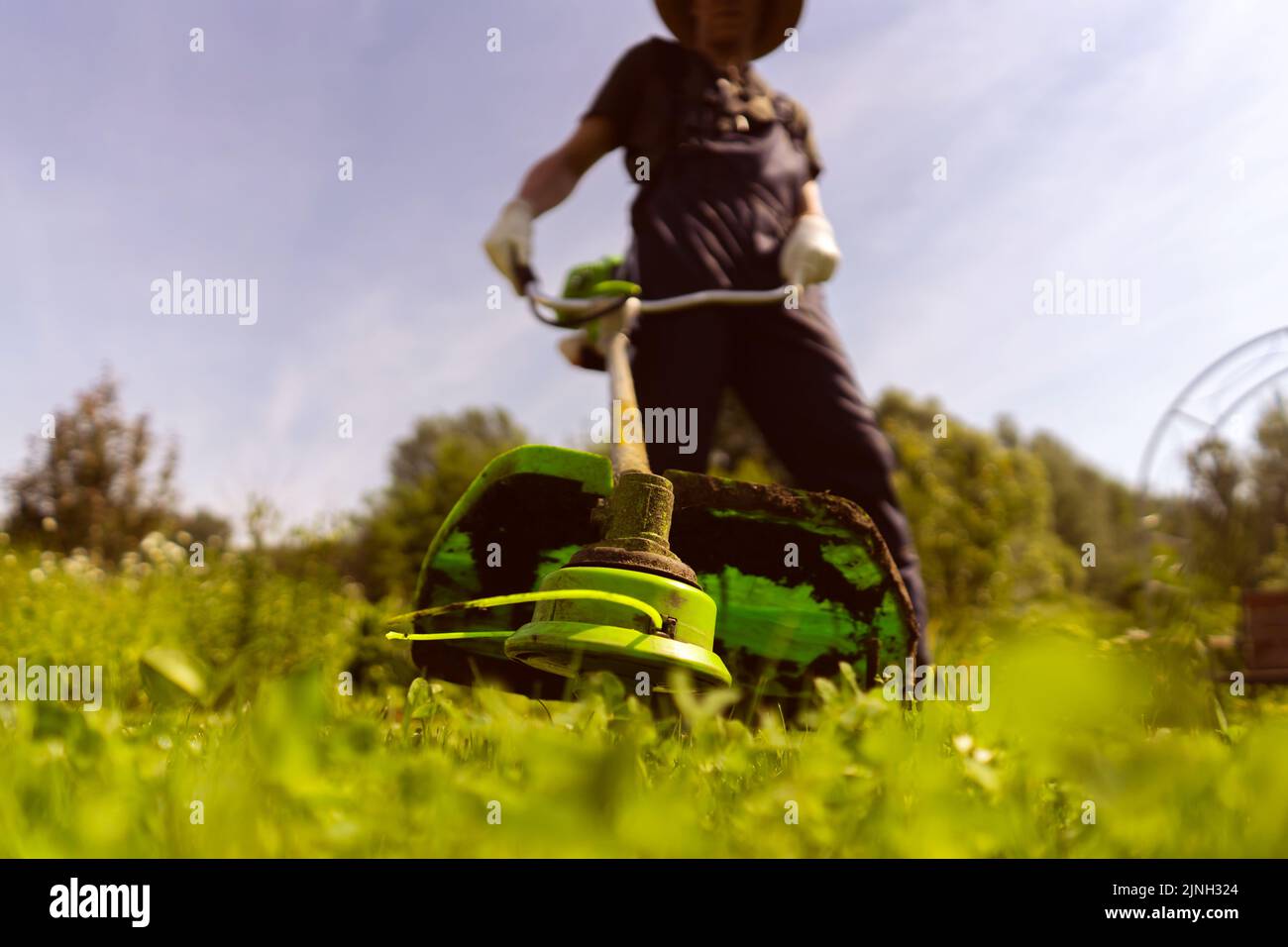 l'uomo sta attivamente falciando un prato con un rasaerba nel suo bel giardino floreale, Foto Stock