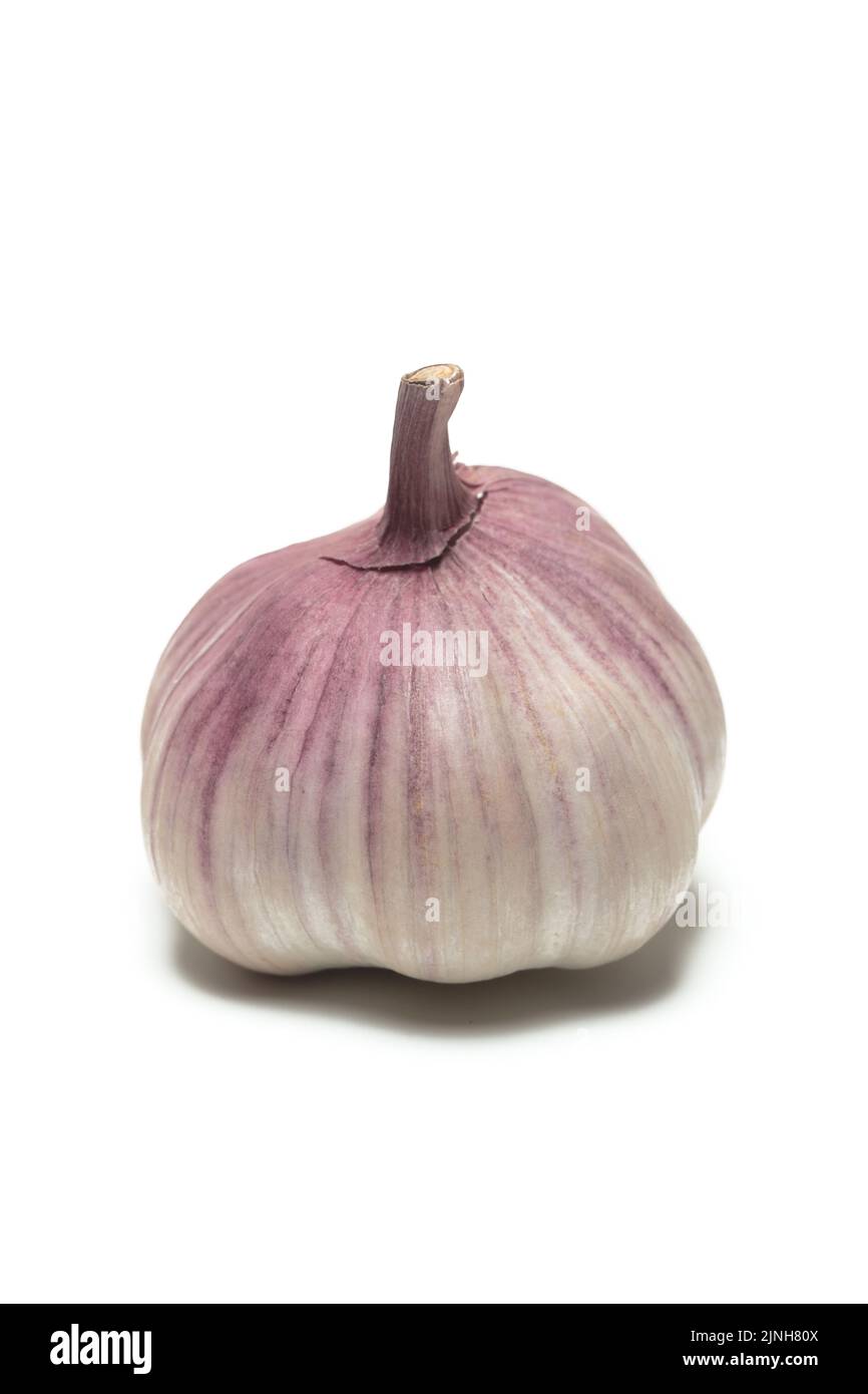 Alho, Tempero e antibiótico naturale Foto Stock