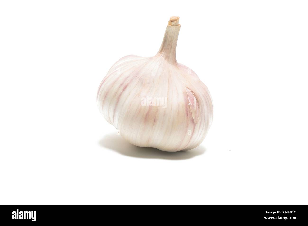 Alho, Tempero e antibiótico naturale Foto Stock