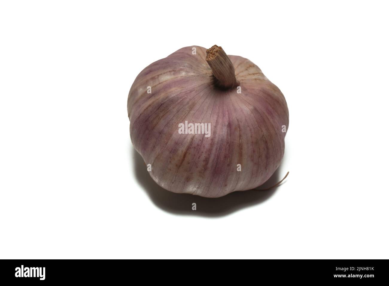 Alho, Tempero e antibiótico naturale Foto Stock