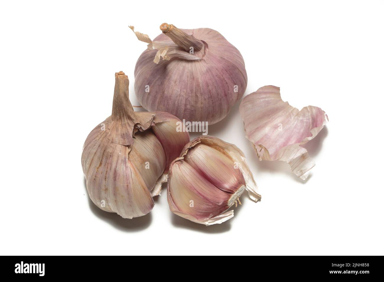 Alho, Tempero e antibiótico naturale Foto Stock