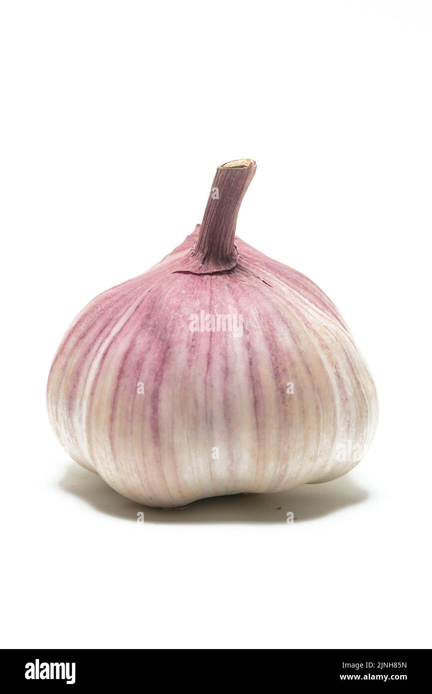 Alho, Tempero e antibiótico naturale Foto Stock