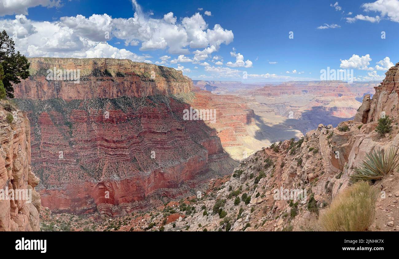 Vista panoramica del South Kaibab Trail con un cactus in primo piano, Grand Canyon, USA Foto Stock