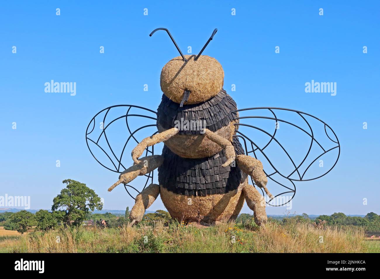 Scultura di paglia di ape in prato di fiori selvatici a Snugburys Ice cream, Park Farm, A51, Hurleston, Nantwich, Cheshire, Inghilterra, Regno Unito, CW5 6BU Foto Stock