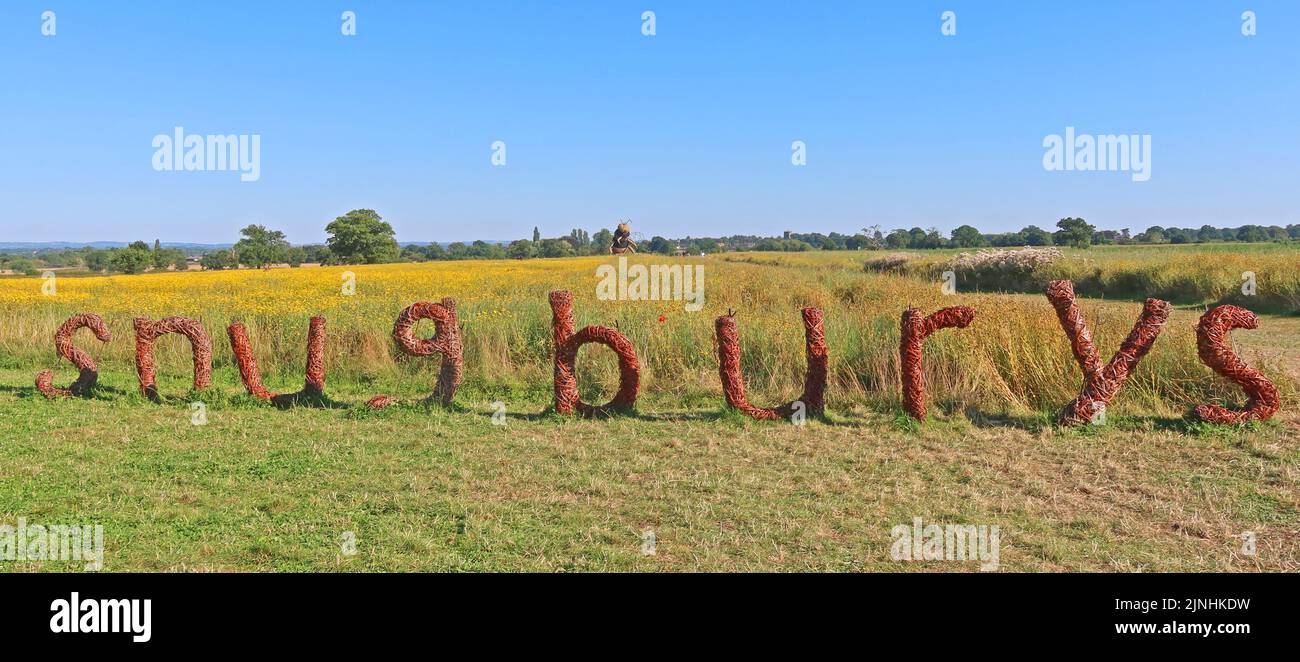 Wildflower prato a Snugburys gelato, Park Farm, A51, Hurleston, Nantwich, Cheshire, Inghilterra, Regno Unito, CW5 6BU Foto Stock