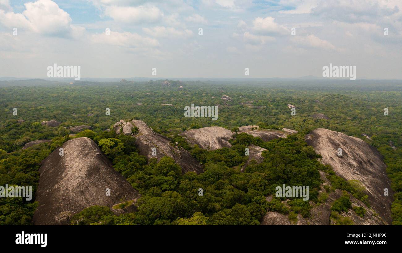 Vista aerea della foresta verde con vegetazione tropicale e formazioni rocciose. National Park.Sri Lanka. Foto Stock