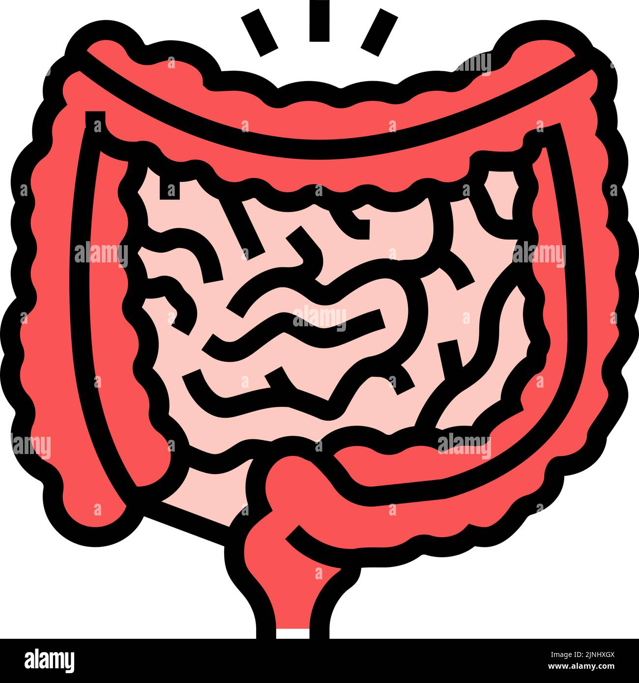 illustrazione vettoriale dell'icona a colori gastrocolica reflex Illustrazione Vettoriale