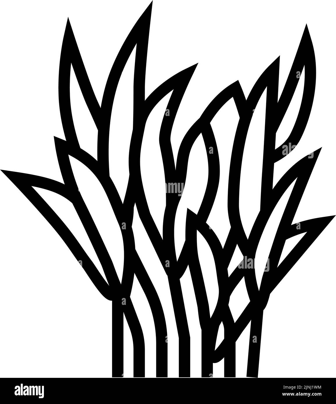 illustrazione del vettore icona java fern line Illustrazione Vettoriale