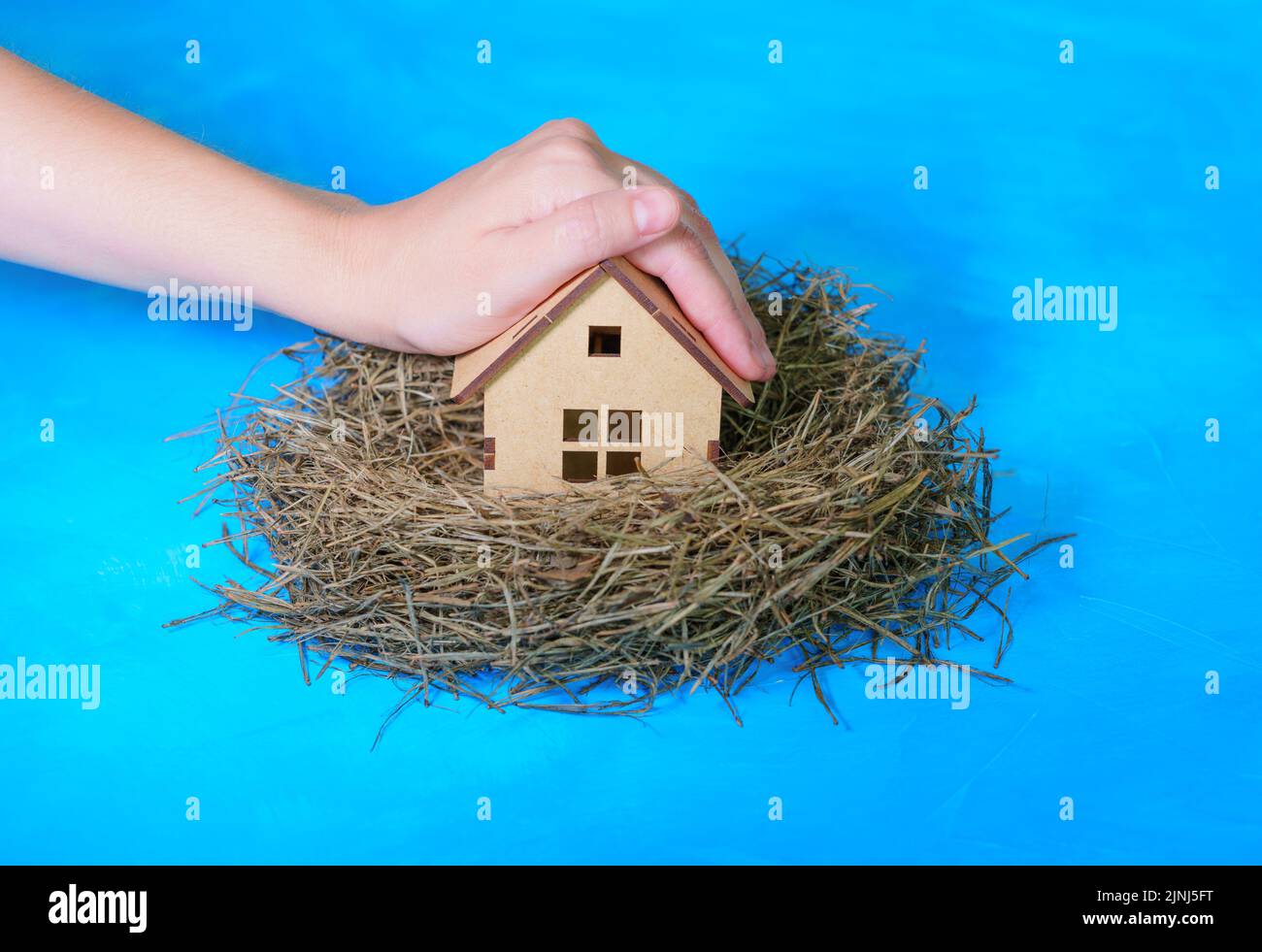 Coperture a mano una casa in legno in miniatura posta in un nido di fieno isolato su sfondo blu. Concetto di assicurazione domestica. Foto Stock