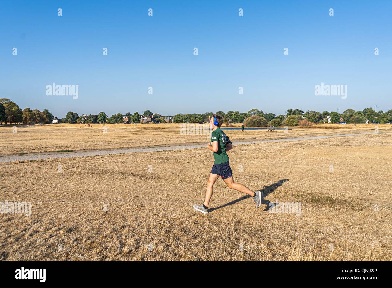 Wimbledon Londra, Regno Unito. 12 agosto 2022 . Un pareggiatore che corre sul paesaggio arroccato su Wimbledon Common a sud-ovest di Londra questa mattina. Il MET Office ha emesso e un'ondata di caldo Amber Weather per Londra e il sud-est dell'Inghilterra avvertimento in quanto si prevede che le temperature raggiungeranno le 37c:00 questo fine settimana e l'agenzia britannica per l'ambiente è fissata per dichiarare ufficialmente le condizioni di siccità in alcune parti del Regno Unito come 5,4 Milioni di persone si trovano di fronte a un divieto di hosepipe credito. amer Ghazzal / Alamy Live News Foto Stock