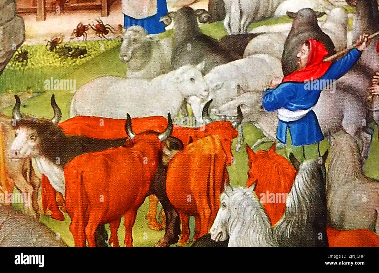Un'illustrazione di colore britannica iniziale di un allevatore di animali in una fattoria medievale Foto Stock