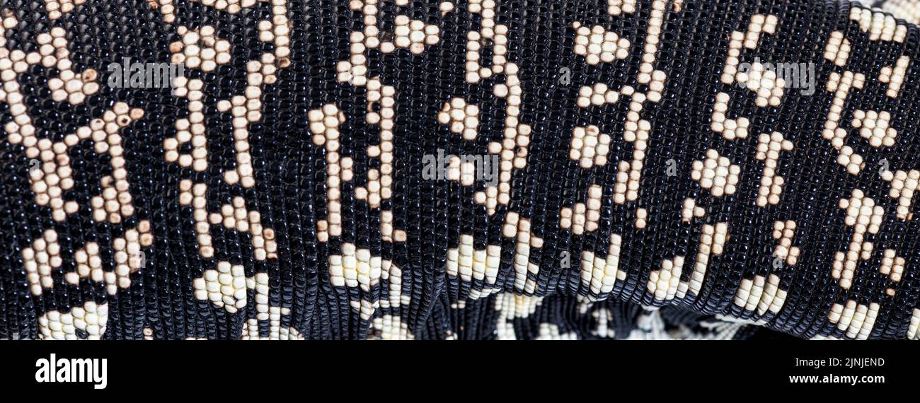 Primo piano, macro delle scale argentine bianco e nero Tegu, Salvator merianae, isolato su bianco Foto Stock