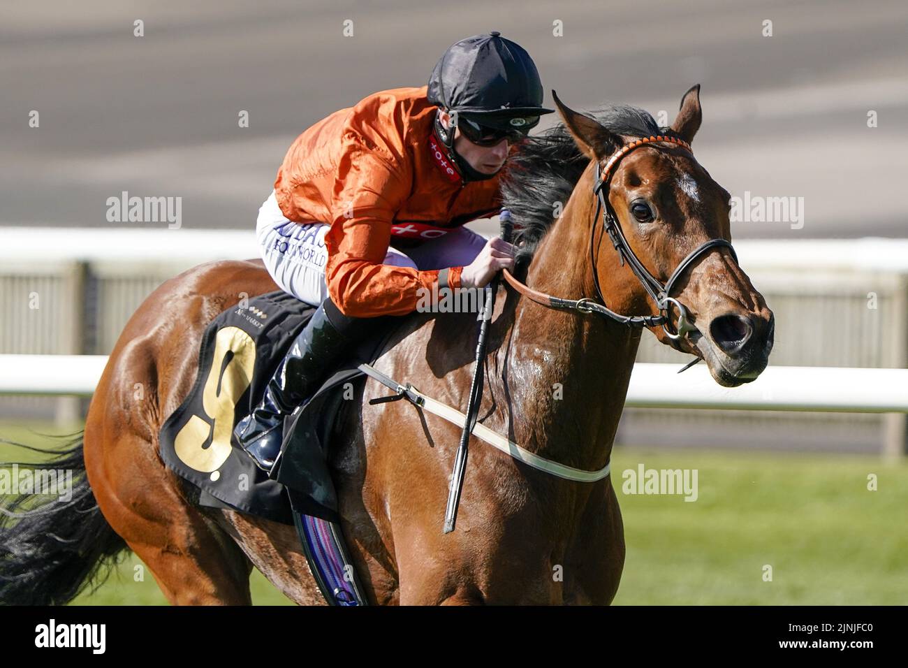 Foto del file datata 13-04-2021 di Jockey Jack Mitchell in sella a Double o Bubble. La decisione di Chris Wall di dirigersi a Newbury con Double o Bubble può pagare i dividendi del Gruppo due nelle BetVictor Hungerford Stakes. Data di emissione: Venerdì 12 agosto 2022. Foto Stock