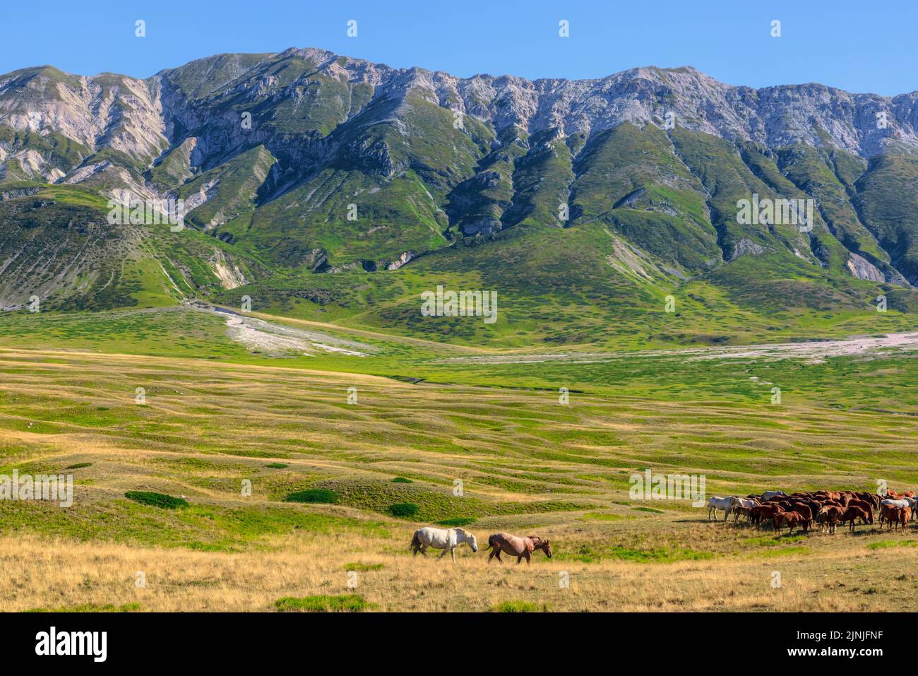 Campo Imperatore, Gran Sasso, l'Aquila, Abruzzo, Italia Foto Stock