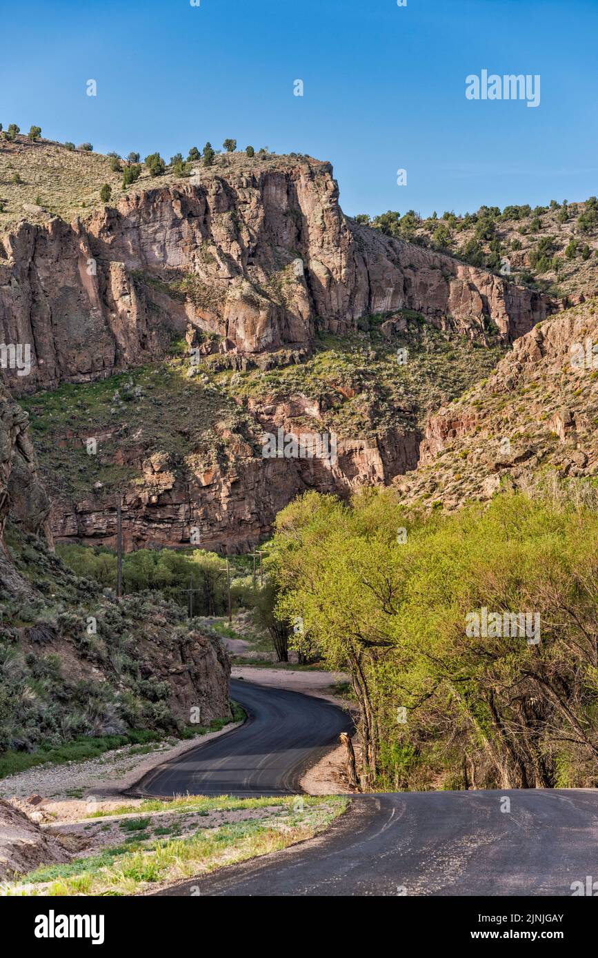 Pareti di tufo vulcanico, Echo Canyon state Park, vicino a Pioche, Nevada, USA Foto Stock