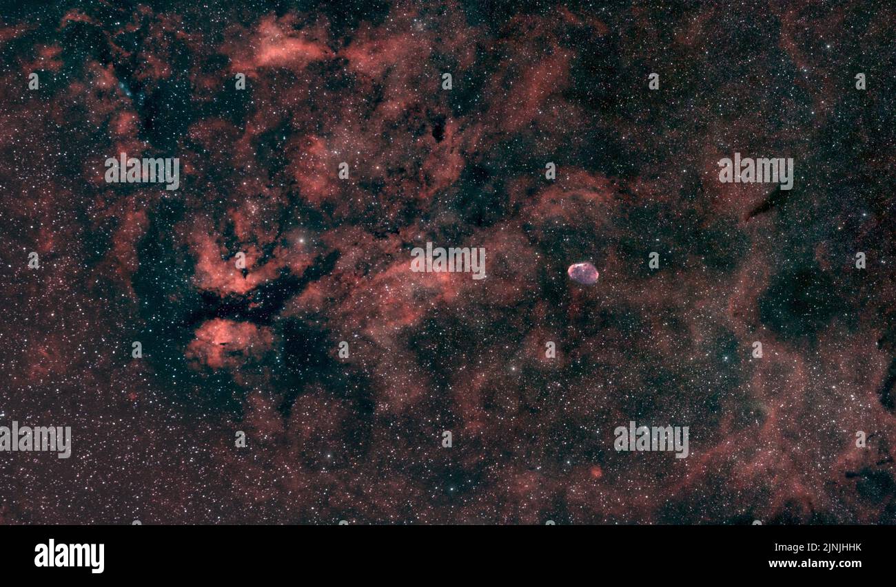 Fotografia astrofotografica di Widefield della regione di Sadr che mostra la nebulosa a farfalla e a mezzaluna. Foto Stock