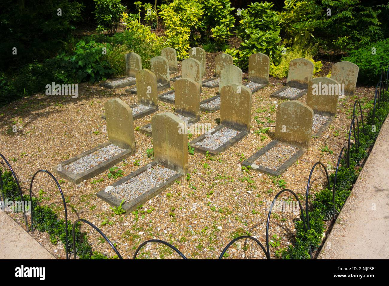 PET cane cimitero Polesden Lacey National Trust Foto Stock