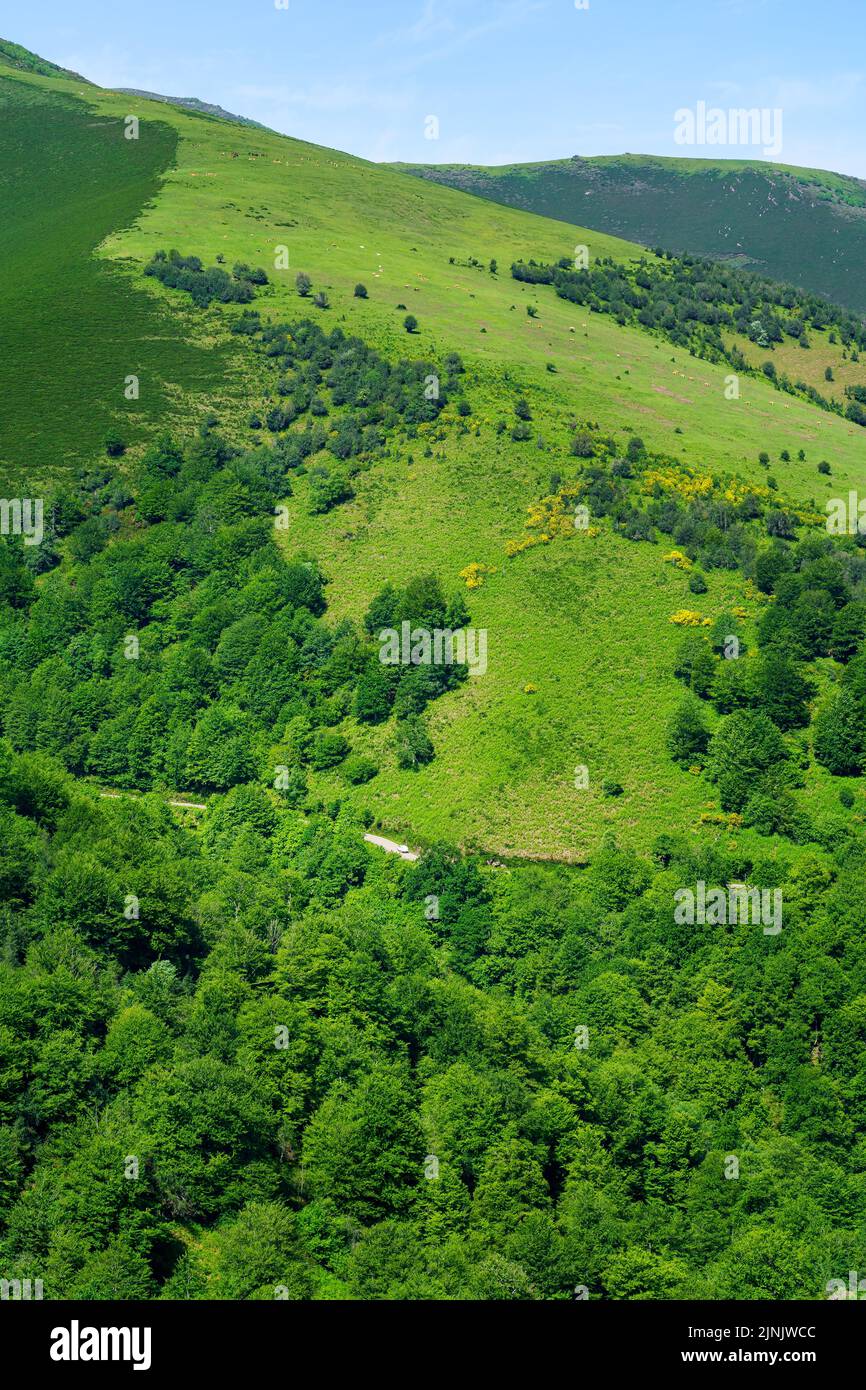 Verde paesaggio montano con mucche e cavalli che pascolano sull'erba. Santander. Foto Stock