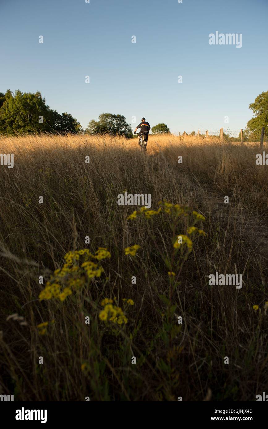 Mountain Bike in Hertfordshire, Inghilterra Foto Stock