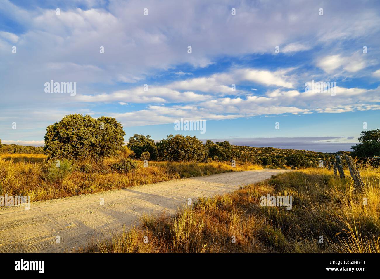 Dawn nella campagna su foresta mediterranea e strada sterrata. Foto Stock