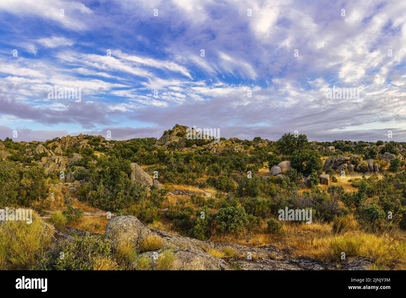 Paesaggio nuvoloso al tramonto su una foresta di rocce e cespugli. Foto Stock