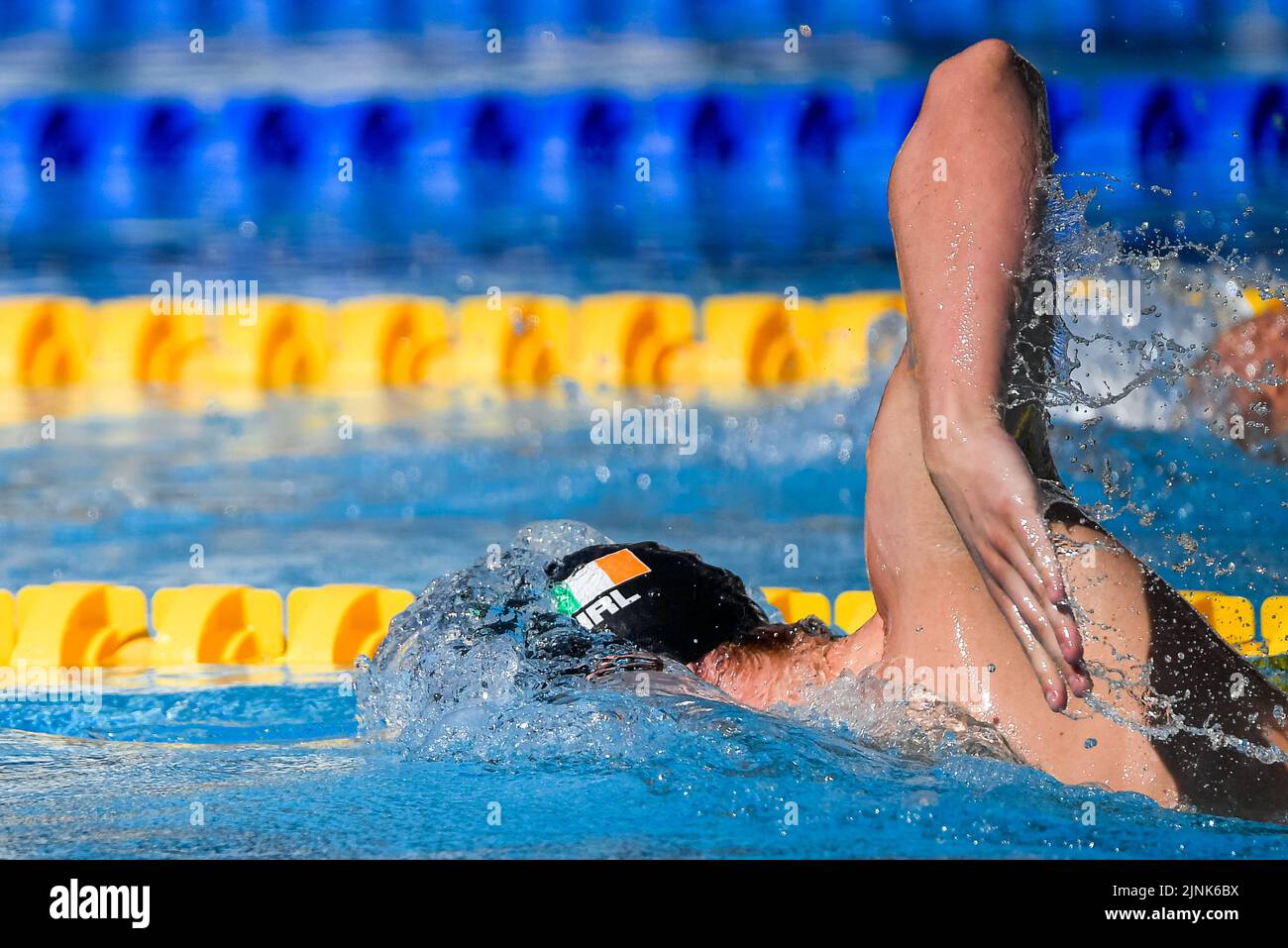 Roma, Italia. 12th ago, 2022. MCCUSKER Max IRL IRELAND800m Freestyle Men Heats Swimming Roma, 12/8/2022 Stadio del Nuoto XXVI LEN European Championships Roma 2022 Foto Andrea Staccioli/Deepbluemedia/Insidefoto Credit: Insidefoto di andrea staccioli/Alamy Live News Foto Stock