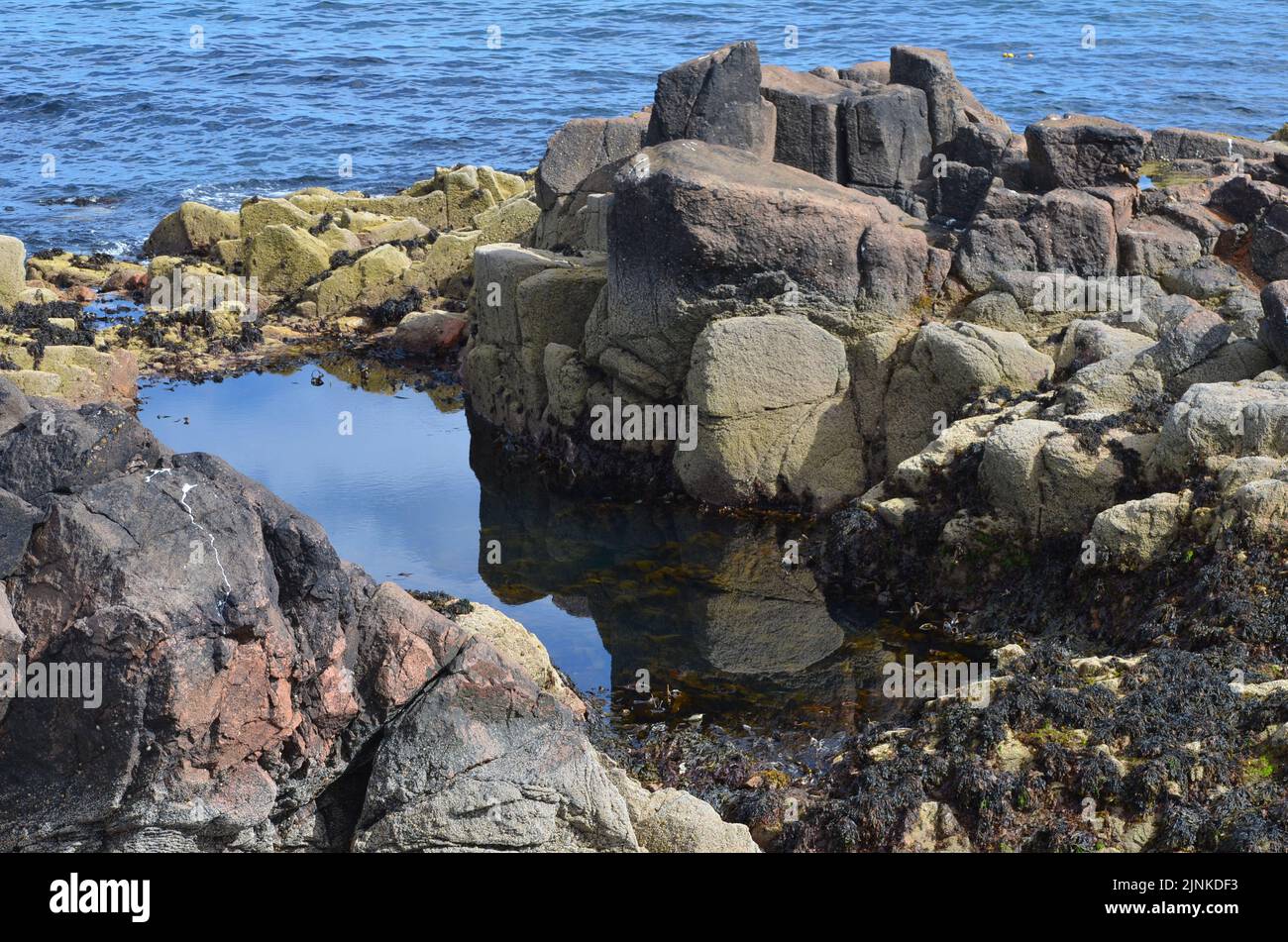 Piscine di marea sulla costa rocciosa di Cove Bay, Aberdeen, Scozia Foto Stock