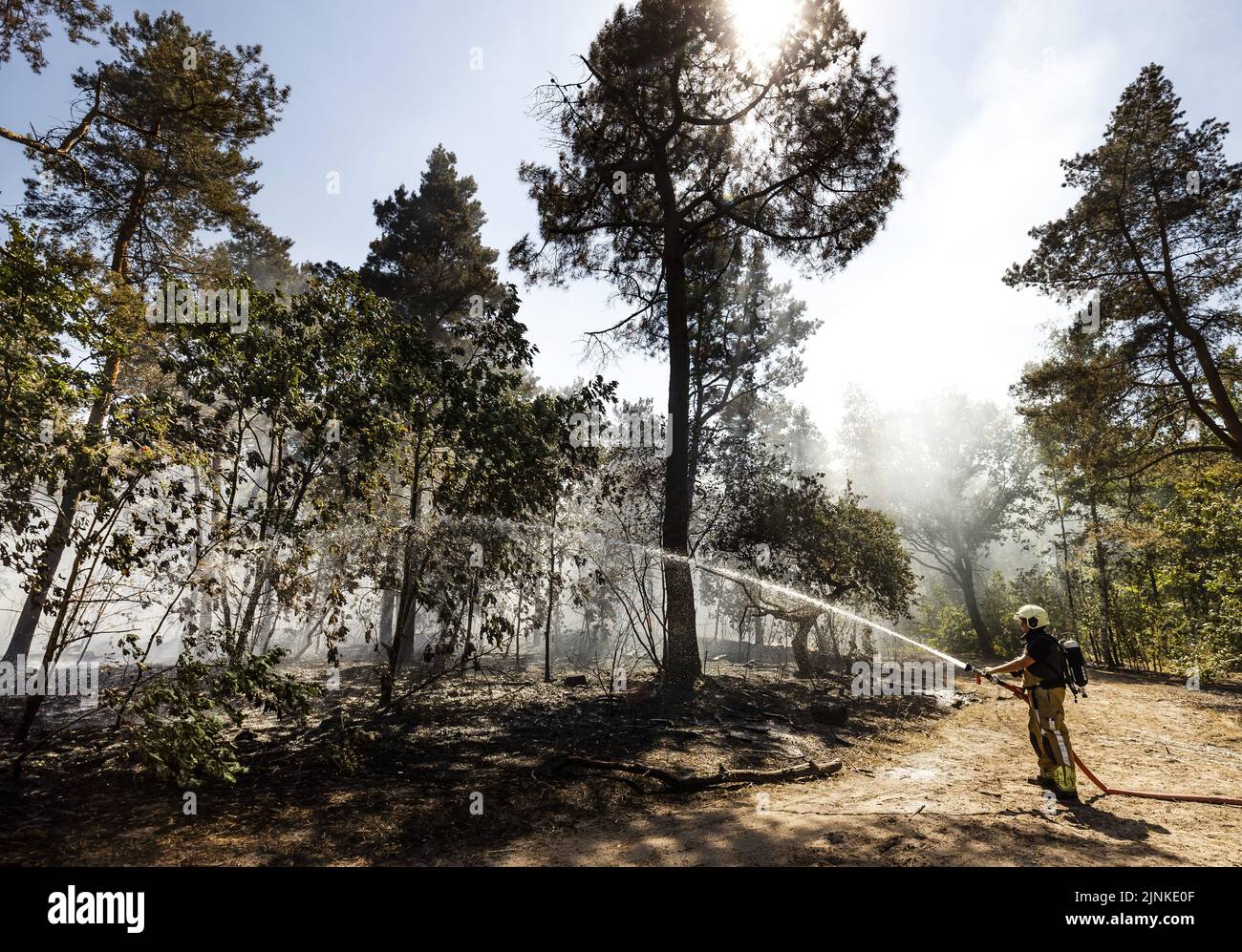 2022-08-12 15:52:14:19 DISCO - i vigili del fuoco stanno cercando di estinguere un fuoco che è scoppiato in una riserva naturale nel Brabante Nord. A causa delle raffiche di vento, dell'attuale siccità e dell'estrazione dell'acqua, i vigili del fuoco sono stati spediti con diciassette veicoli. ANP REMKO DE WAAL olanda fuori - belgio fuori Foto Stock