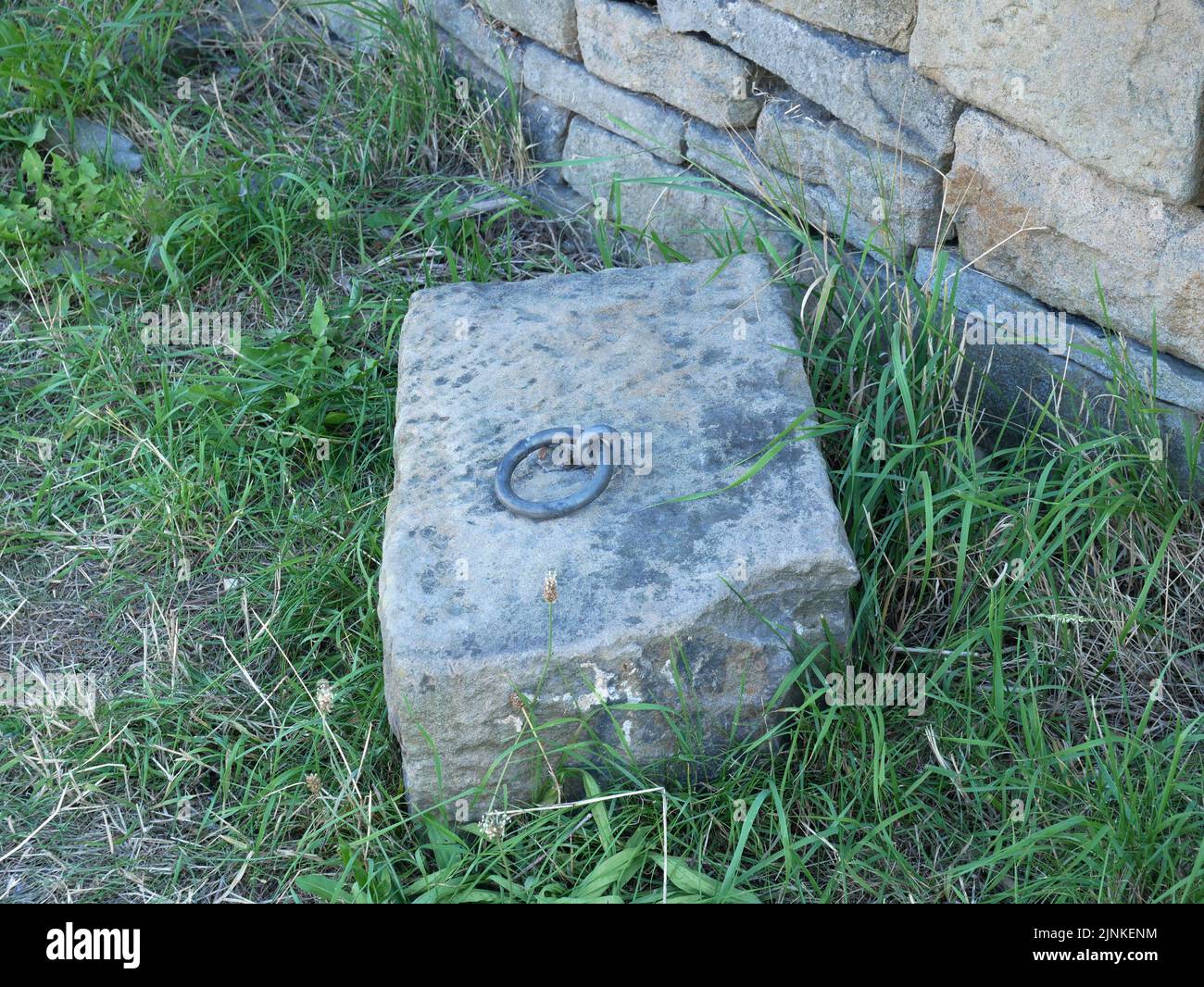 Blocco di pietra con anello di metallo sulla parte superiore si trovava su erba con un muro sullo sfondo Foto Stock