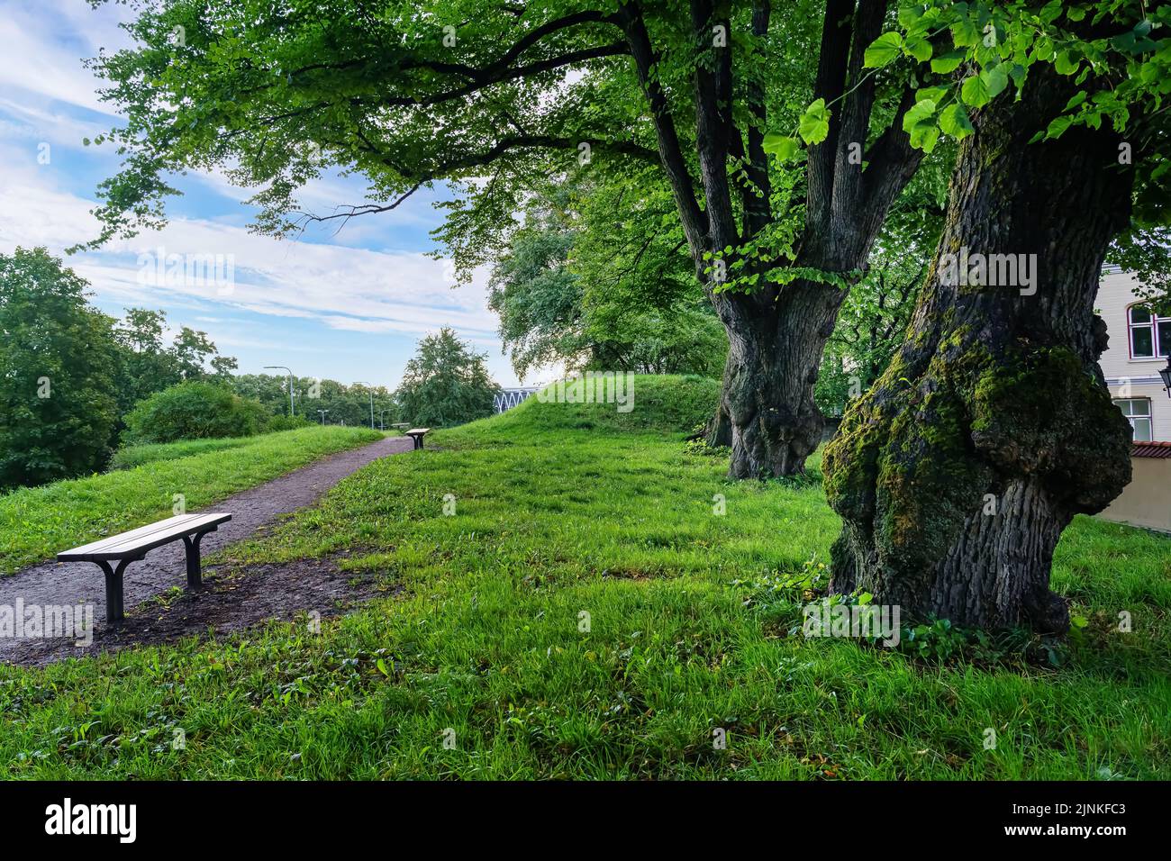 Parco pubblico con grandi alberi e panchine per sedersi e riposare. Foto Stock