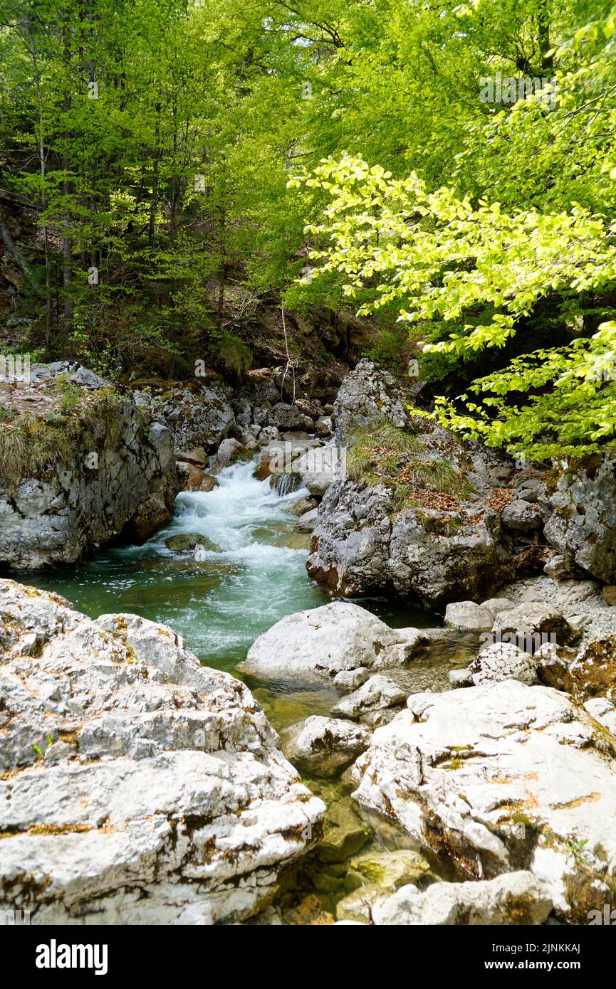 Un ruscello verde smeraldo (fiume Steinacher Achen) a Pfronten, Fallmuehle, nelle Alpi Bavaresi della regione di Allgaeu (Allgaeu, Baviera, Germania) Foto Stock