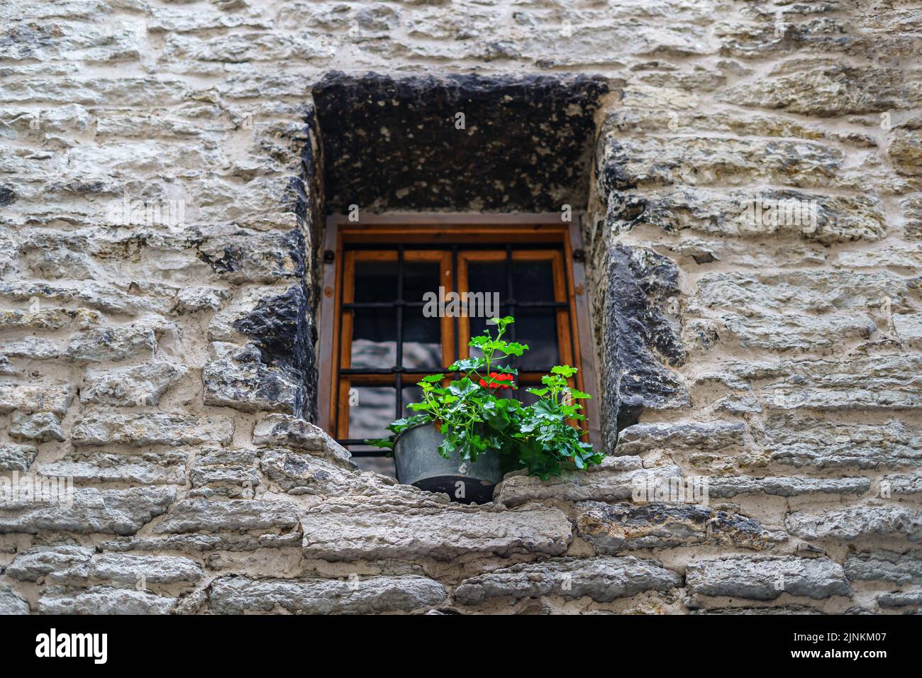 Piccola finestra in vecchio edificio in pietra con pentola con piante. Foto Stock