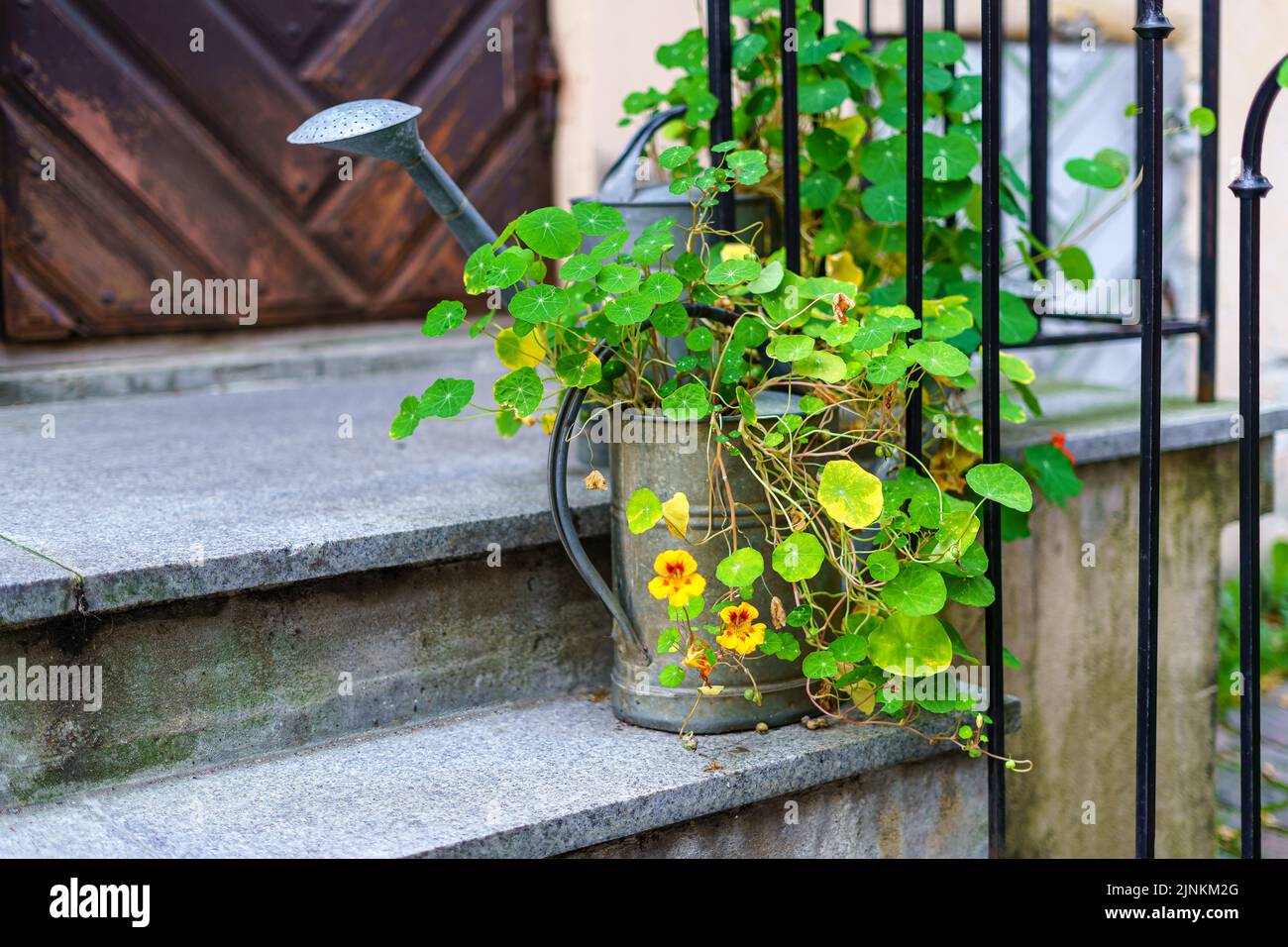 Vaso con fiori e annaffiatoio sulla scala della casa. Foto Stock
