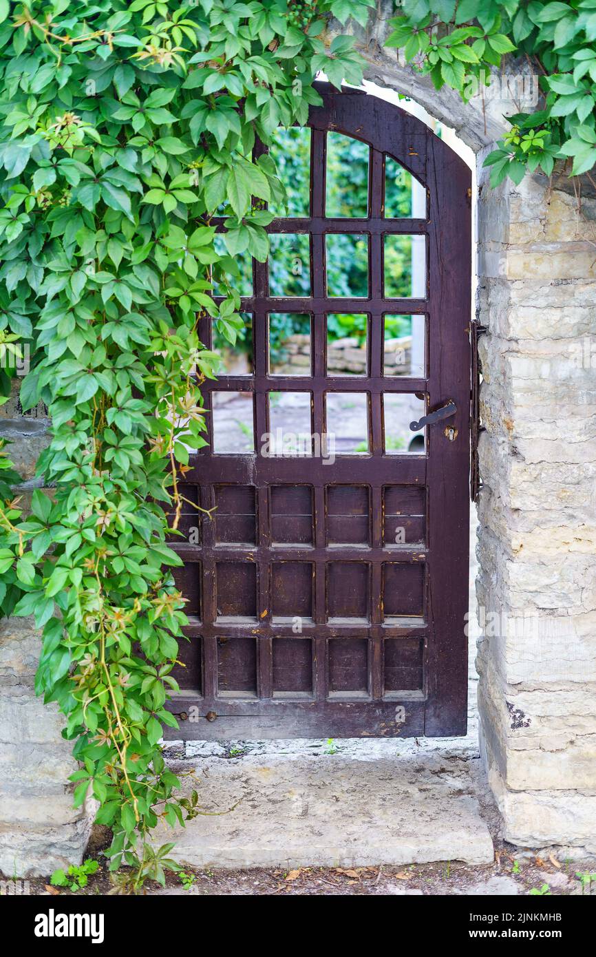 Vecchia porta di accesso in metallo alla casa con edera appesa alla facciata. Foto Stock