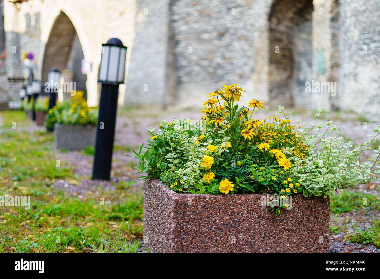Vaso di fiori con fiori accanto al muro del castello e piccoli lampioni sul terreno. Foto Stock