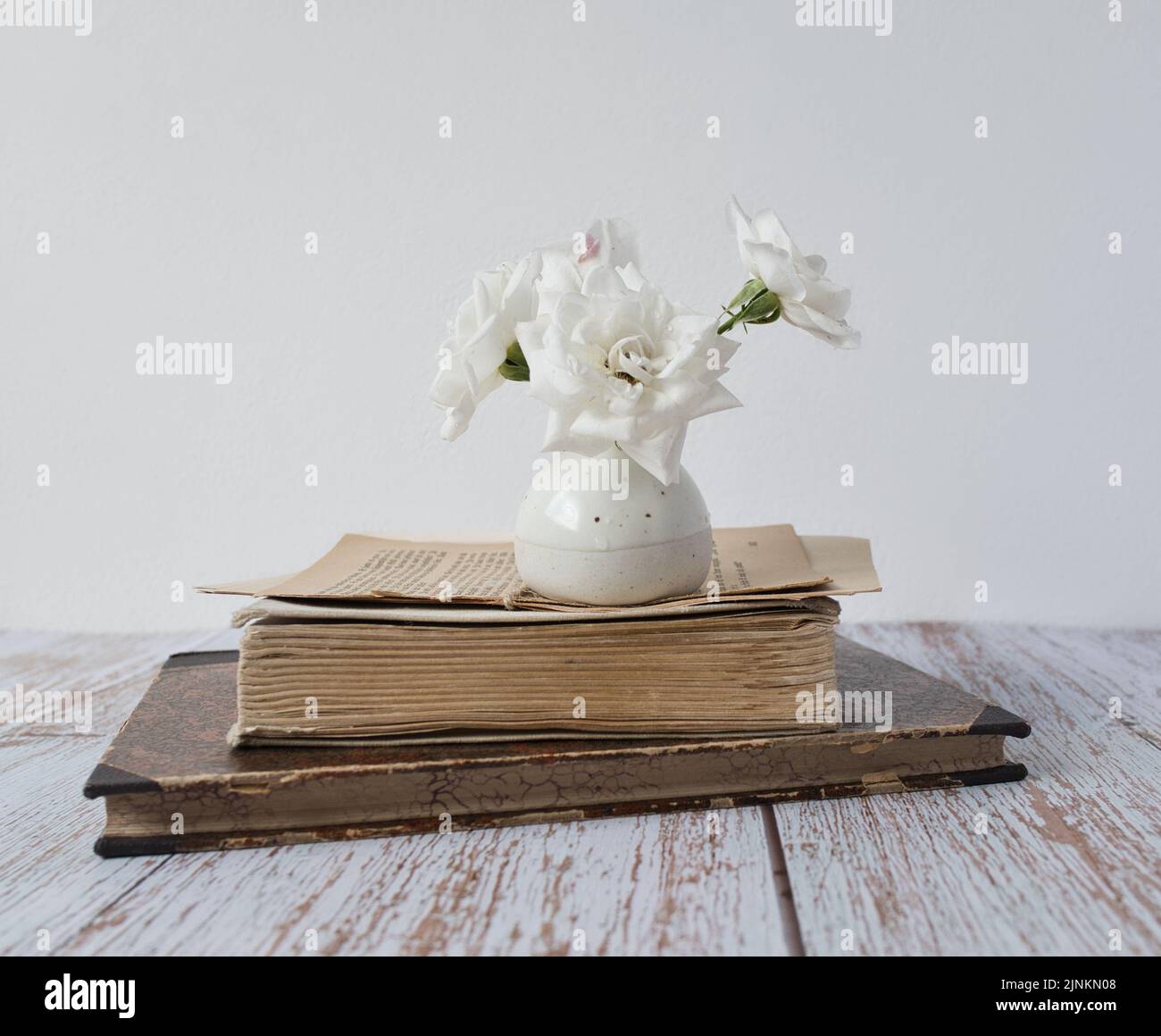 libro, vaso di fiori, vita ferma, libri, vasi, ancora lifes Foto Stock