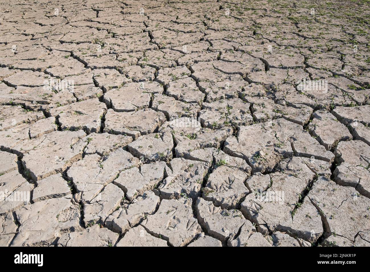 Niedrigwasser am Rhein, im Bild Kšln-SŸrth. Das Niedrigwasser am Rhein hat schon jetzt Auswirkungen auf die Schifffahrt, so kšnnen die Schiffe Foto Stock