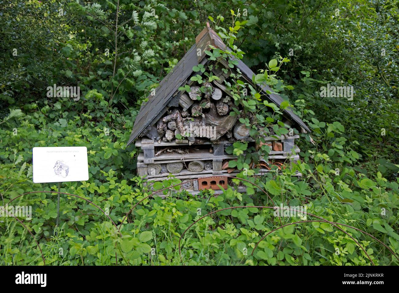 Insetto Hotel RHS Garden Rosemoor North Devon Foto Stock